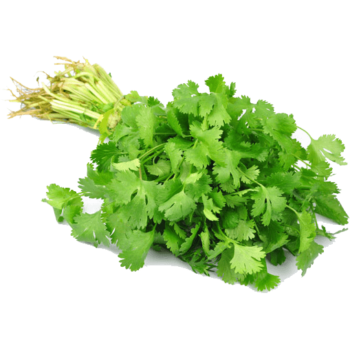 coriander