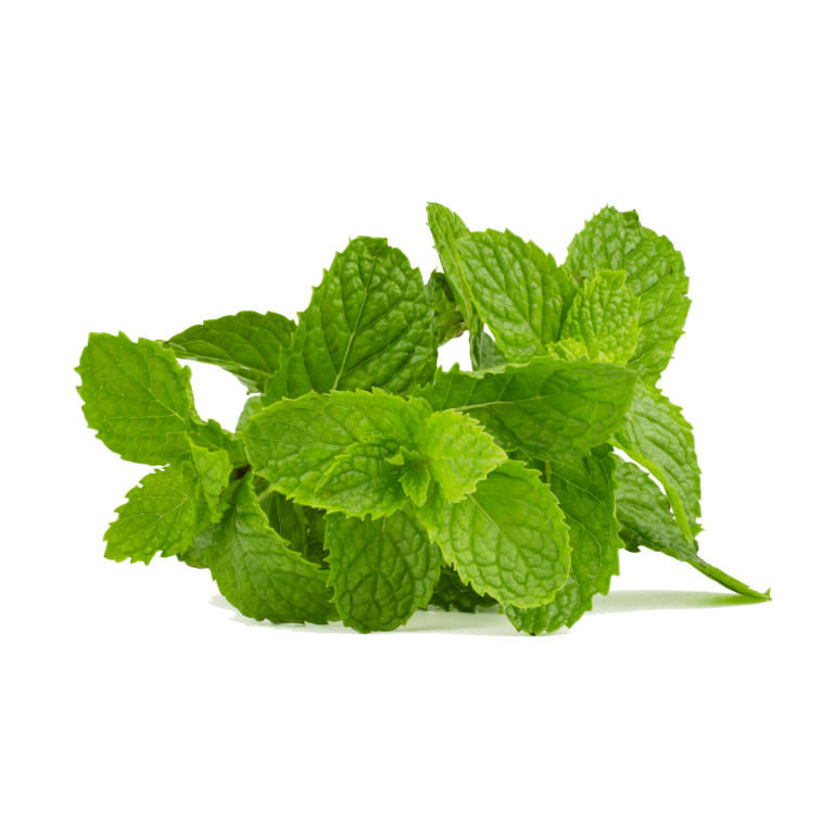 mint-leaves