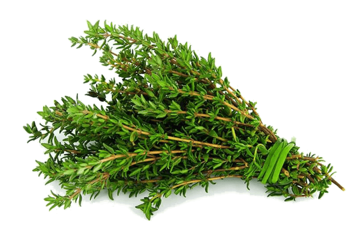 thyme